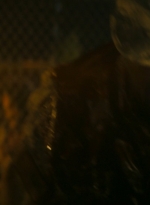 ftwd106_1109.jpg