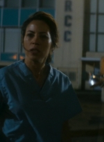 ftwd106_1113.jpg