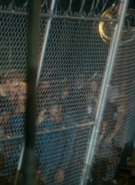 ftwd106_1131.jpg