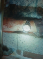 ftwd106_1242.jpg