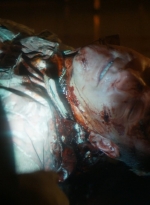 ftwd106_1252.jpg