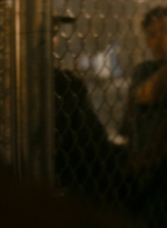 ftwd106_1294.jpg