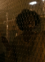 ftwd106_1296.jpg
