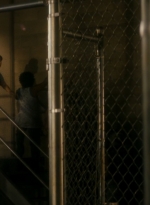 ftwd106_1311.jpg