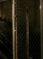 ftwd106_1312.jpg