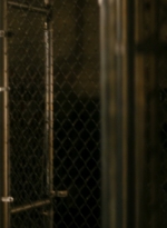 ftwd106_1313.jpg