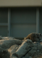 ftwd106_1623.jpg