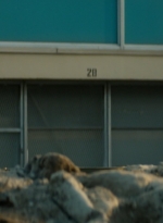 ftwd106_1634.jpg