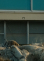 ftwd106_1635.jpg