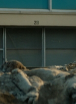 ftwd106_1636.jpg