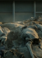 ftwd106_1638.jpg