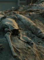 ftwd106_1640.jpg