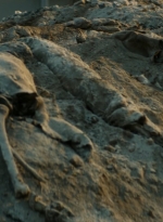 ftwd106_1641.jpg