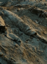 ftwd106_1642.jpg