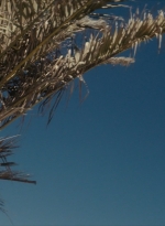 ftwd106_2258.jpg