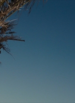 ftwd106_2259.jpg