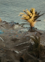 ftwd106_2264.jpg