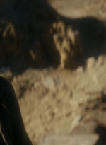 ftwd106_2459.jpg