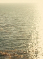 ftwd106_2624.jpg