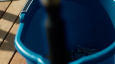 ftwd201_1184.jpg