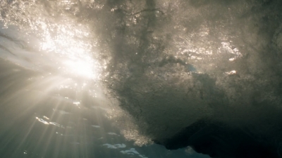 ftwd201_2028.jpg