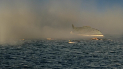 ftwd201_2853.jpg
