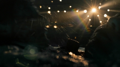 ftwd201_2963.jpg