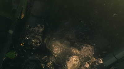 ftwd201_2979.jpg