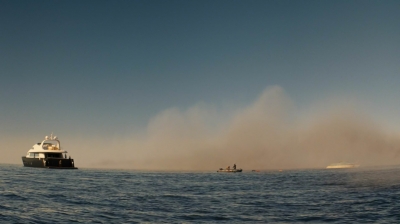 ftwd201_3030.jpg
