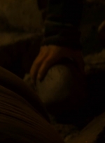 ftwd201_0147.jpg