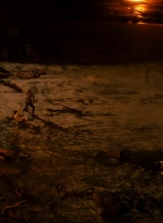 ftwd201_0187.jpg