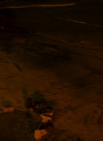 ftwd201_0267.jpg