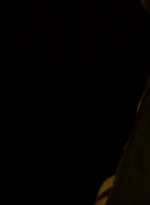 ftwd201_0291.jpg
