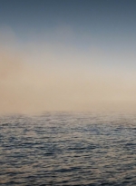 ftwd201_2579.jpg