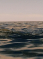 ftwd201_2624.jpg