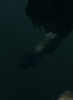ftwd201_2654.jpg