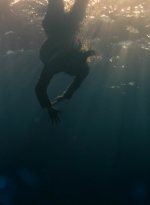 ftwd201_2655.jpg