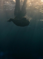 ftwd201_2656.jpg