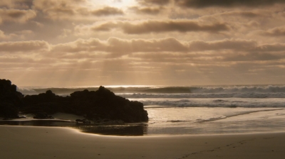 ftwd202_0009.jpg