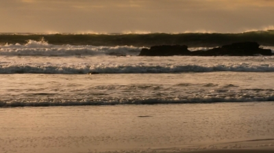 Click to view full size image
==============
ftwd202_0028.jpg ftwd202_0028.jpg