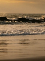 ftwd202_0019.jpg