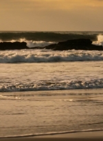 ftwd202_0023.jpg
