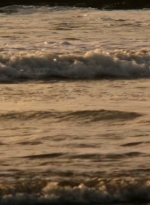 ftwd202_0029.jpg