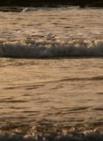 ftwd202_0030.jpg