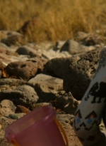 ftwd202_0095.jpg