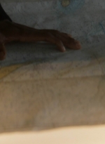 ftwd202_0291.jpg