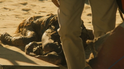ftwd203_1097.jpg