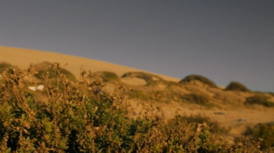 ftwd203_2101.jpg