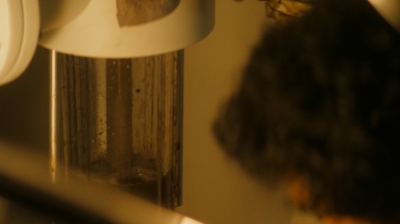 ftwd203_2651.jpg