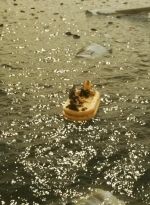 ftwd203_0099.jpg